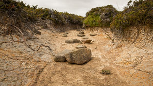 Rocky dry riverbed with scattered stones and earth walls. Surrounding greenery on top. Cloudy sky adds a serene, desolate atmosphere.