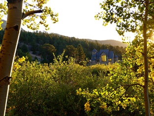 Sunlit forest with a stone church in the background, surrounded by vibrant green and yellow trees under a clear sky, evoking tranquility.
