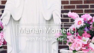 Marian Moment #4: Mary’s love for souls
