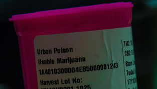 Consuming true medicine: Why Catholics should oppose legalizing marijuana 