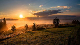 The Marvelous Goodness of God’s Creation