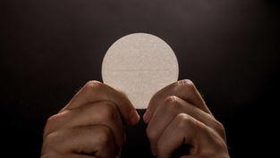 Littleton Parish to Host Eucharistic Exhibit Created by Bl. Carlo Acutis