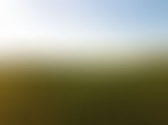Back to the Land: Following the Land’s Liturgy
