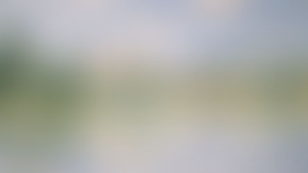 Monet and the Catholic approach to beauty