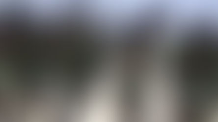 Are jihadis “losers”?