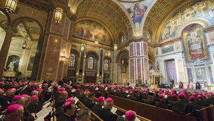 Diminished bishops, the new ultramontanism, and the Synodal process