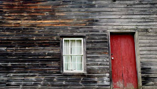What barn are you raising?