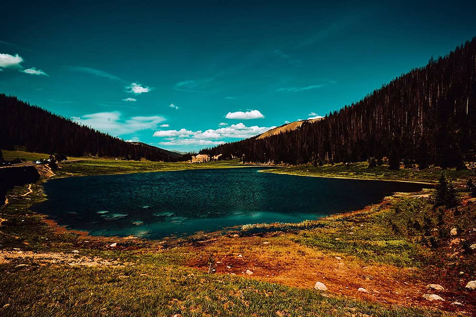 Photo by Akash Dutta on Unsplash 