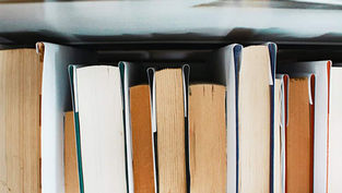 The Summer Reading List, 2023 edition 