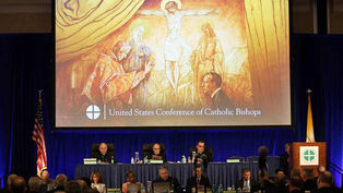 Ready for the big bishops meeting? Here are 8 things you need to know