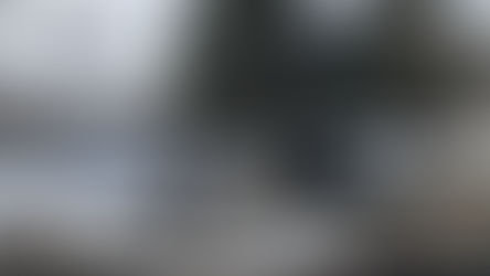 Blessed Mother statues still stand at Colorado family home destroyed by wildfire