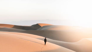 From the desert, something new