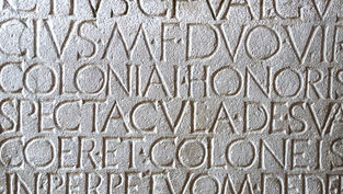 Why study Latin?