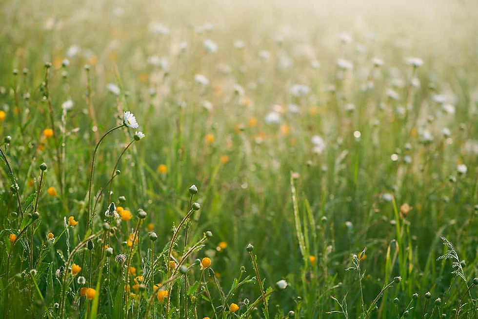 Photo by Johny Goerend on Unsplash