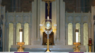 Adoration is like Christmas every day of the year