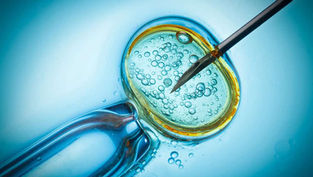 What is the Catholic Church’s position on IVF?
