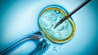 What is the Catholic Church’s position on IVF?