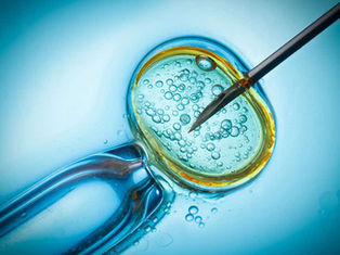 What is the Catholic Church’s position on IVF?