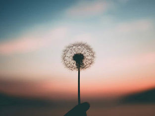 Finding Peace in Surrender: Perspectives on Anxiety and Control