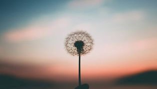 Finding Peace in Surrender: Perspectives on Anxiety and Control 