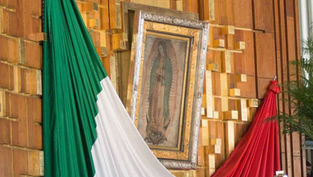 Pope Francis grants plenary indulgence to Catholics marking Guadalupe feast at home