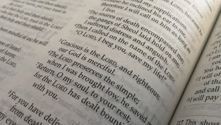 Q&A: Dr. Michael Barber talks Psalms