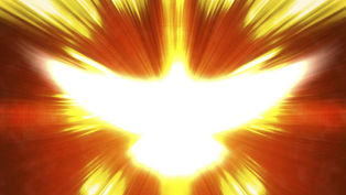 Revelations from the Spirit: Key themes from the Archdiocesan Discernment Process