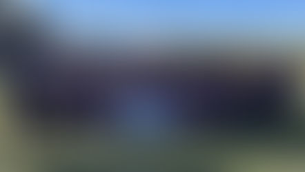 The Holy Family Tigers win it all and become state champs once again!