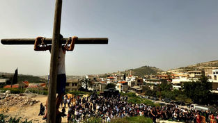 Plight of the persecuted