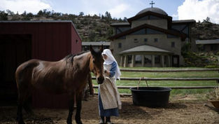 Lillies of the Colorado field: The curious life of Colorado’s cloistered nuns