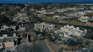 Maui has been devastated by wildfires. Here’s how you can help.