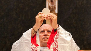 What Can You Do with Christ in You: 2024 Archbishop’s Catholic Appeal Launches