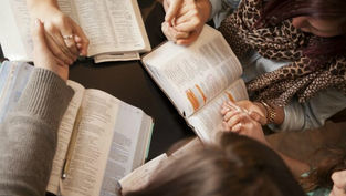 What does the Church say about feminism?