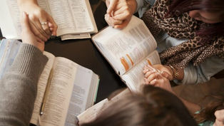 What does the Church say about feminism?