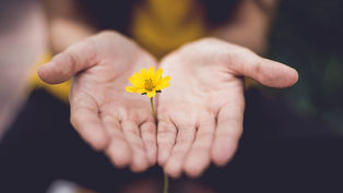 Q&A: Dr. Bob Schuchts on healing after an abortion