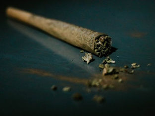 On 4/20, “That They Might Have Life” a timely reminder of marijuana’s negative effects
