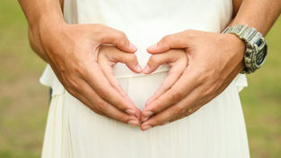 Gospel of Life workshop to offer training, insights for pro-life Catholics