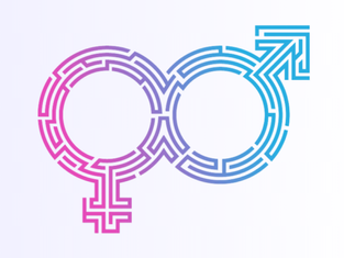 Male and female he created… their brains?