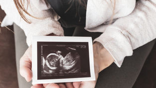 Mission of Hope, Rooted in Love: Pro-Life in an Apostolic Age
