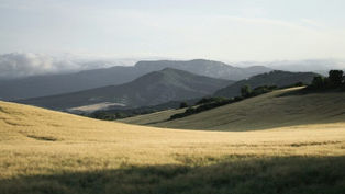 Without Hope, There is No Pilgrimage: Lessons from the Camino