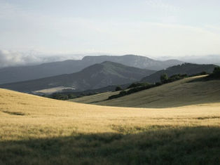 Without Hope, There is No Pilgrimage: Lessons from the Camino