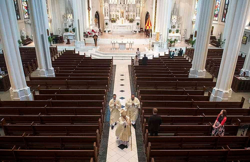 Cathedral Basilica of the Immaculate Conception