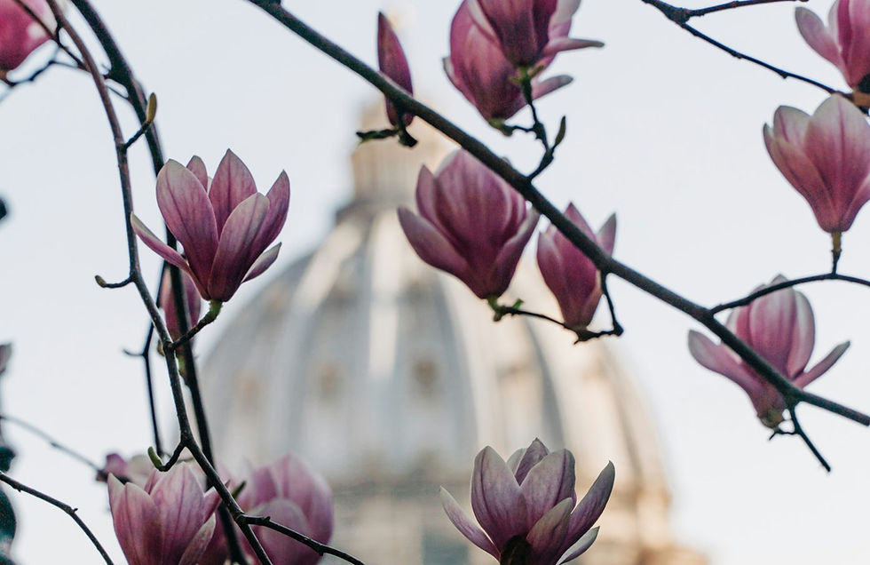 (Photo: Gabriella Clare Marino / Unsplash)