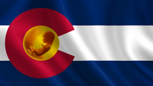Pro-Life Colorado: Building a culture of life