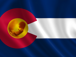Pro-Life Colorado: Building a culture of life