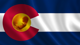 Pro-Life Colorado: Building a culture of life