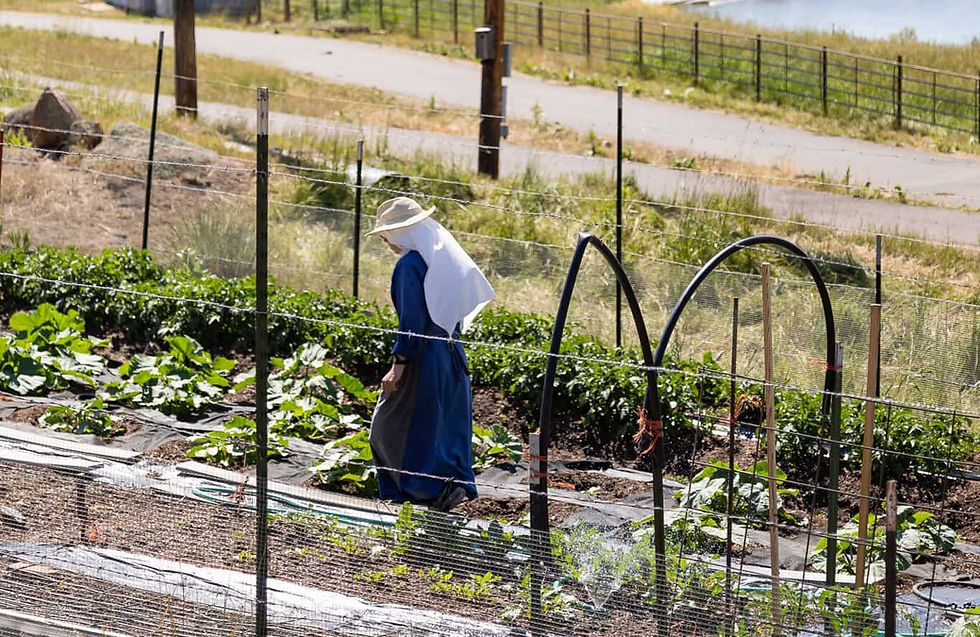(Photo by André Escaleira, Jr.)