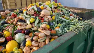 Pope calls for an end to global food waste
