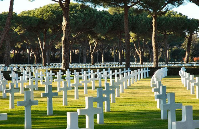 Rows of white crosses