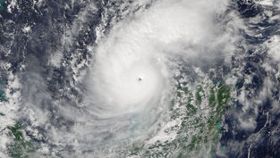 Love thy neighbor: Archdiocese unites with our brothers and sisters affected by Hurricane Milton